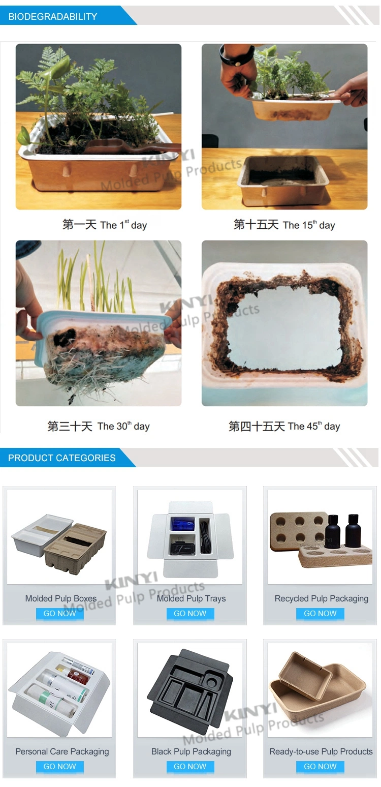 Custom Perfume Fiber, Wet Press Molded White Paper Pulp Inner Packaging Tray