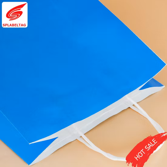 Niedriger Preis Kleidung Schmuck Kosmetik Geschenk Einkaufen Papiertüten mit Griffen Hand