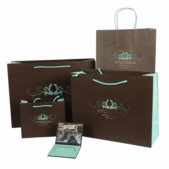 Individuelle Gestaltung Ihres eigenen Logo-Drucks, Kosmetik, Luxus-Geschenk-Einkaufs-Papiertüten mit Griff