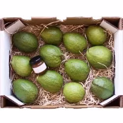 Doppelwandige, farbig bedruckte Obstversandbox, Bananenverpackungskartons